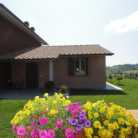 Apartament Poggio Novello Peccioli Zewnętrze zdjęcie